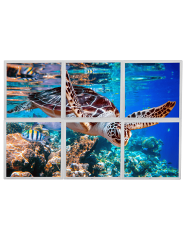 Lumigo - Swimming Turtle LED Panels