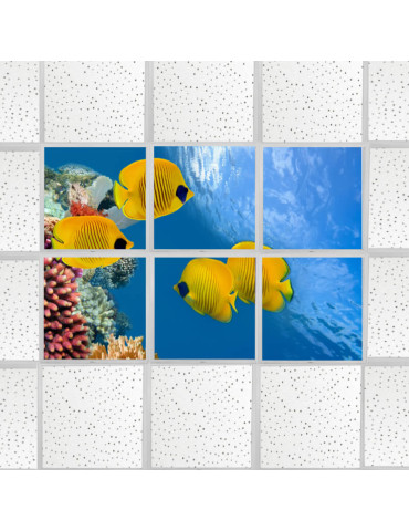 Lumigo - Swimming Fish LED Panels