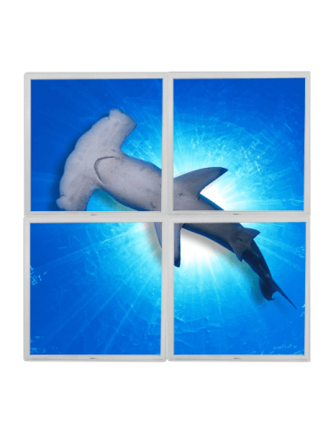Lumigo Hammer Head Shark LED Panels 600mm x 600mm - Set of 4