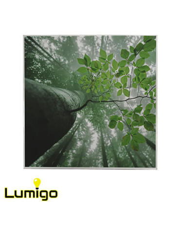 Lumigo Printed Ceiling Tile 600mm x 600mm - Below The Willows