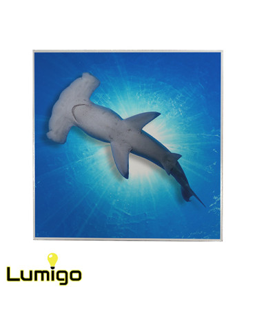 Lumigo Printed Ceiling Tile 600mm x 600mm - Hammer Head Shark
