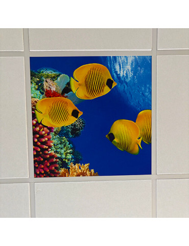 Lumigo Printed Custom Picture Ceiling Tile 600mm x 600mm