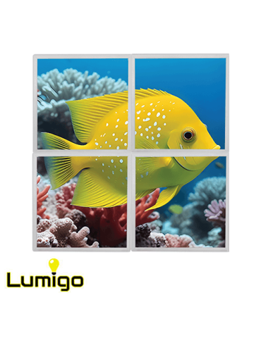 Lumigo Swimming Fish LED Panels 600mm x 600mm - Set of 4