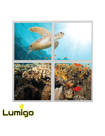 Lumigo Swimming Turtle LED Panels 600mm x 600mm - Set of 4